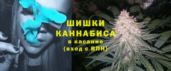 дживик Надым