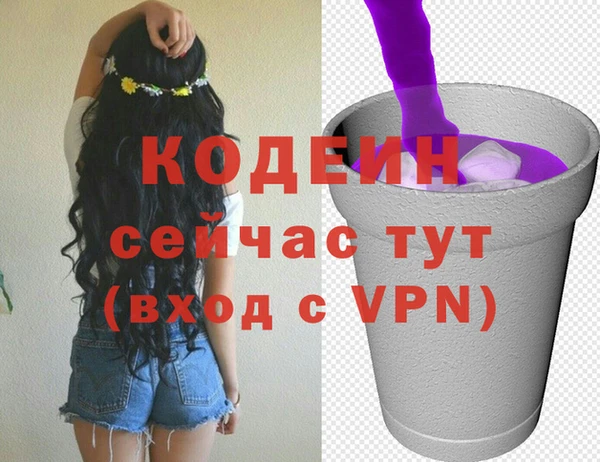 дживик Надым