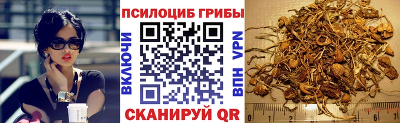 Псилоцибиновые грибы GOLDEN TEACHER  omg вход  Кумертау 