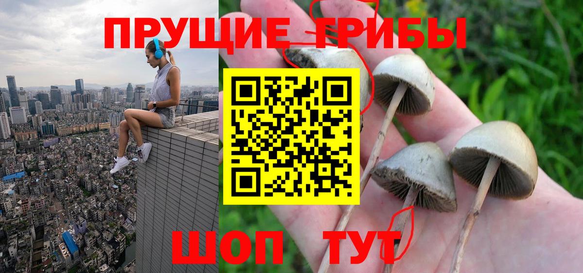 Галлюциногенные грибы прущие грибы Кумертау